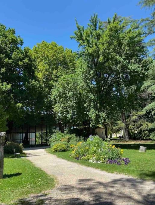 Superbe appartement avec vue sur la tour de Vésone Périgueux Exterior foto